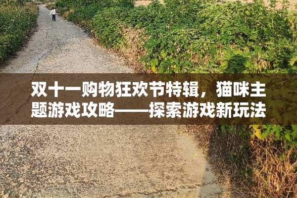 双十一购物狂欢节特辑，猫咪主题游戏攻略——探索游戏新玩法与猫咪互动 双十一玩法猫咪