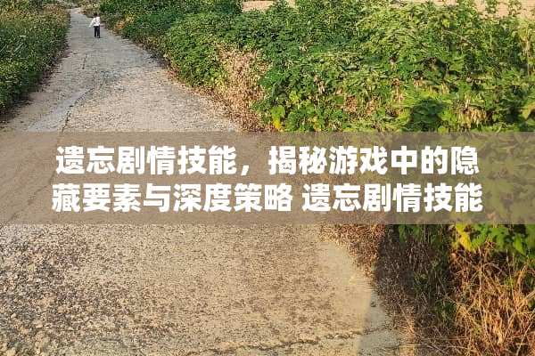遗忘剧情技能，揭秘游戏中的隐藏要素与深度策略 遗忘剧情技能