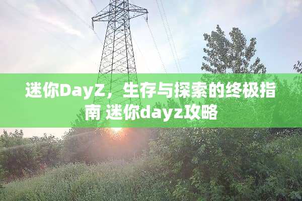 迷你DayZ，生存与探索的终极指南 迷你dayz攻略