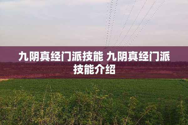 九*真经门派技能 九*真经门派技能介绍