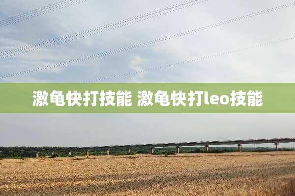 激龟快打技能 激龟快打leo技能