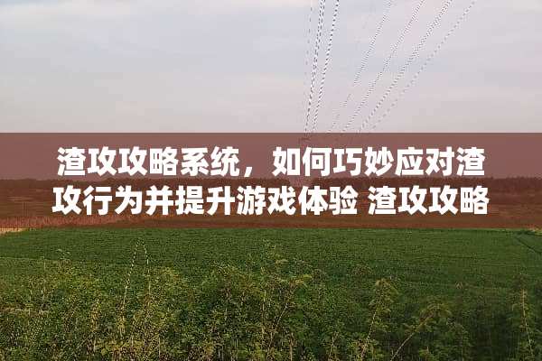 渣攻攻略系统，如何巧妙应对渣攻行为并提升游戏体验 渣攻攻略系统
