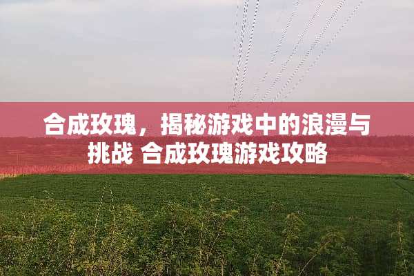 合成玫瑰，揭秘游戏中的浪漫与挑战 合成玫瑰游戏攻略