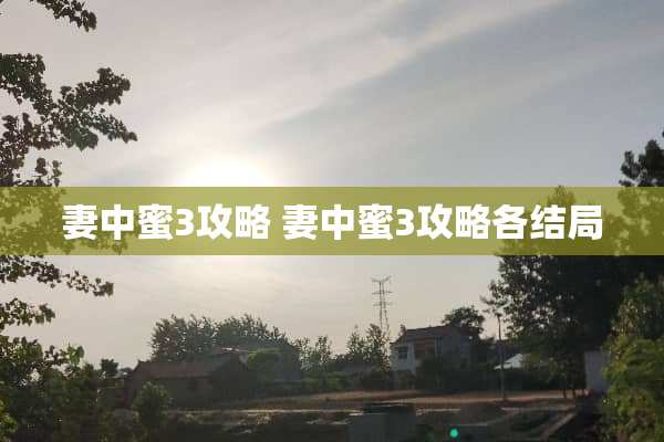 妻中蜜3攻略 妻中蜜3攻略各结局