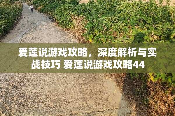 爱莲说游戏攻略，深度解析与实战技巧 爱莲说游戏攻略44