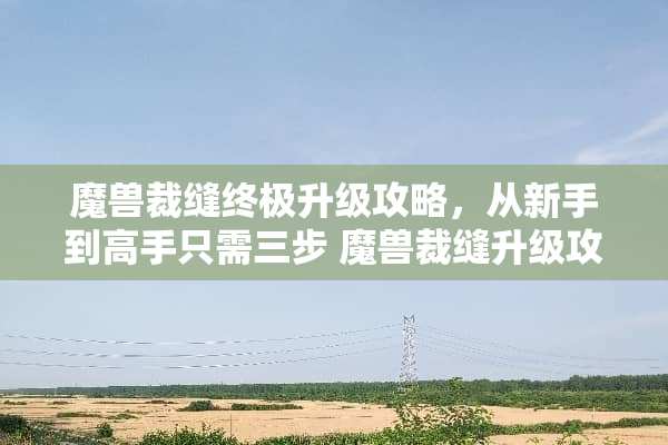 魔兽裁缝终极升级攻略，从新手到高手只需三步 魔兽裁缝升级攻略