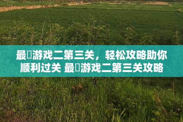 最囧游戏二第三关，轻松攻略助你顺利过关 最囧游戏二第三关攻略