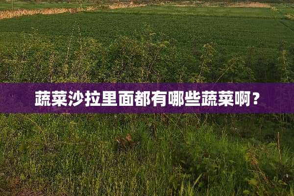 蔬菜沙拉里面都有哪些蔬菜啊？