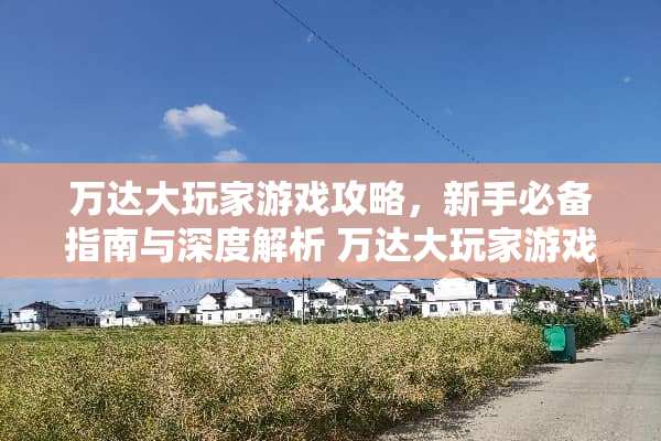 万达大玩家游戏攻略，新手必备指南与深度解析 万达大玩家游戏攻略
