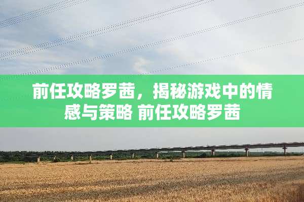 前任攻略罗茜，揭秘游戏中的情感与策略 前任攻略罗茜