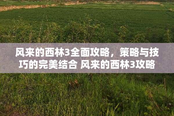 风来的西林3全面攻略，策略与技巧的完美结合 风来的西林3攻略