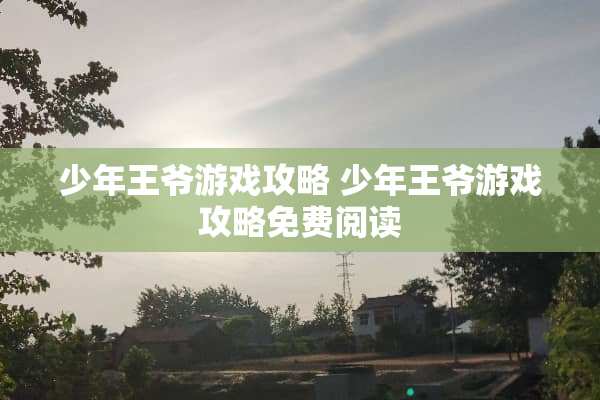少年**游戏攻略 少年**游戏攻略免费阅读