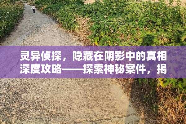 灵异侦探，隐藏在阴影中的真相深度攻略——探索神秘案件，揭开谜团背后的秘密 灵异侦探攻略游戏