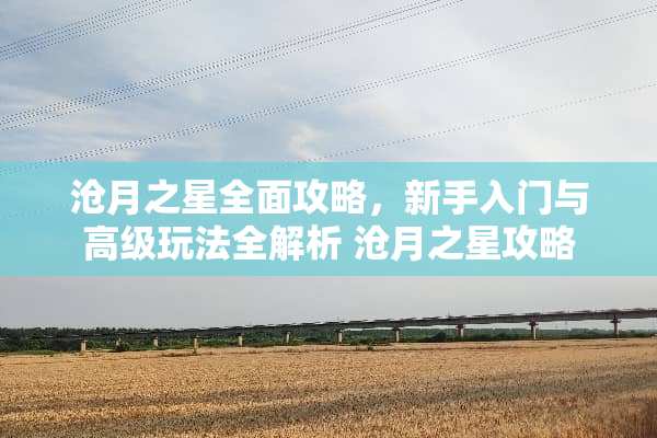沧月之星全面攻略，新手入门与高级玩法全解析 沧月之星攻略