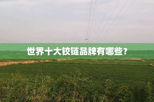 世界十大铰链品牌有哪些？