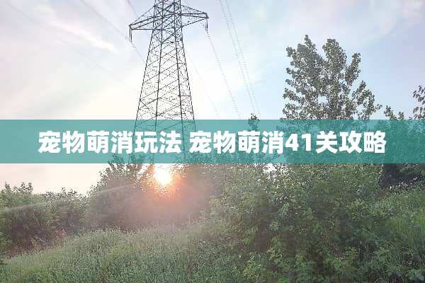 宠物萌消玩法 宠物萌消41关攻略