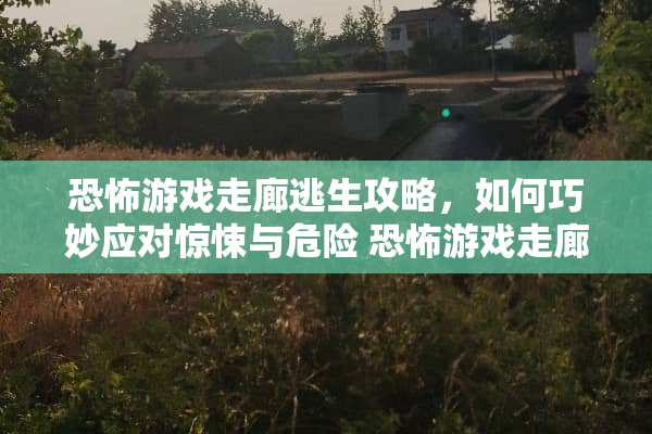 恐怖游戏走廊逃生攻略，如何巧妙应对惊悚与危险 恐怖游戏走廊攻略