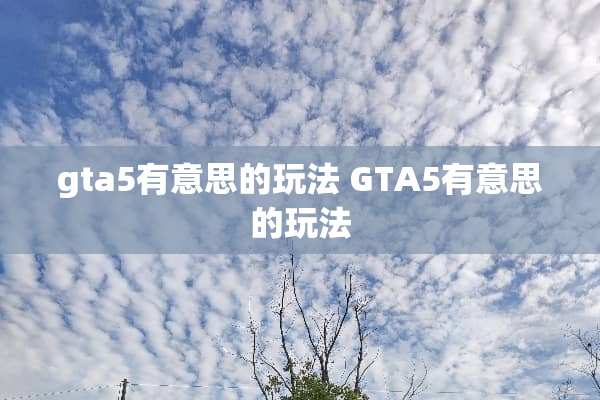 gta5有意思的玩法 GTA5有意思的玩法