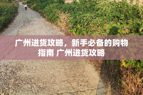 广州进货攻略，新手必备的购物指南 广州进货攻略