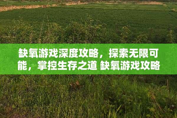 缺氧游戏深度攻略，探索无限可能，掌控生存之道 缺氧游戏攻略