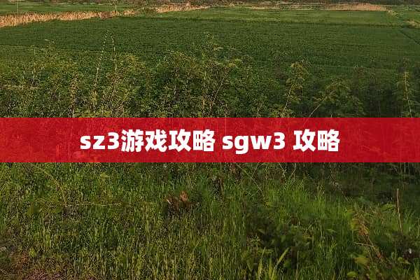 sz3游戏攻略 sgw3 攻略
