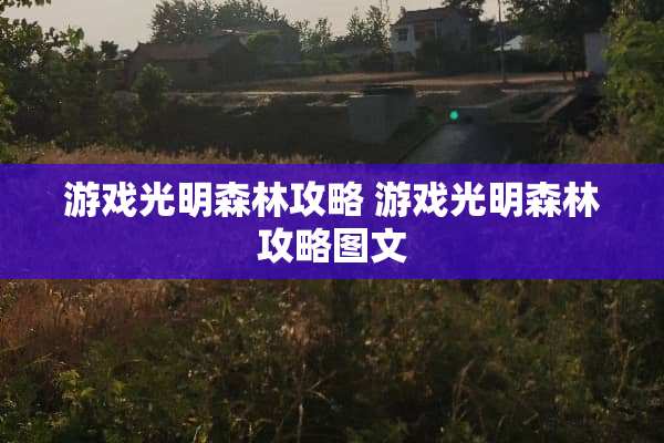 游戏光明森林攻略 游戏光明森林攻略图文