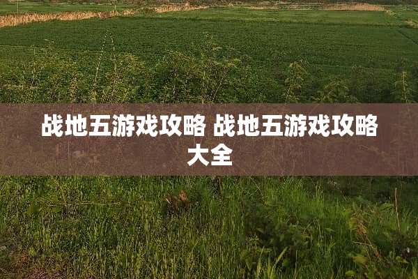 战地五游戏攻略 战地五游戏攻略大全