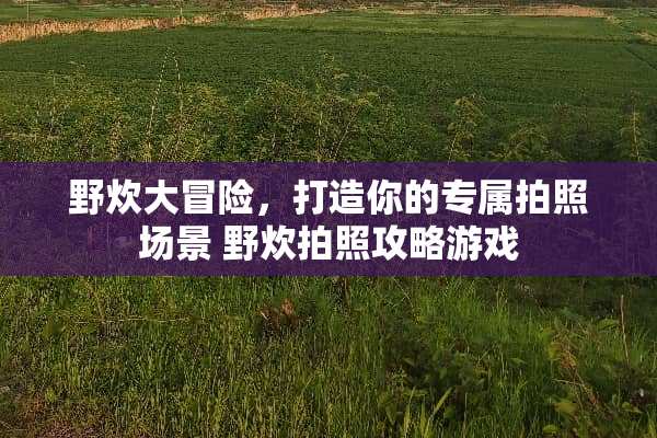 野炊大冒险，打造你的专属拍照场景 野炊拍照攻略游戏