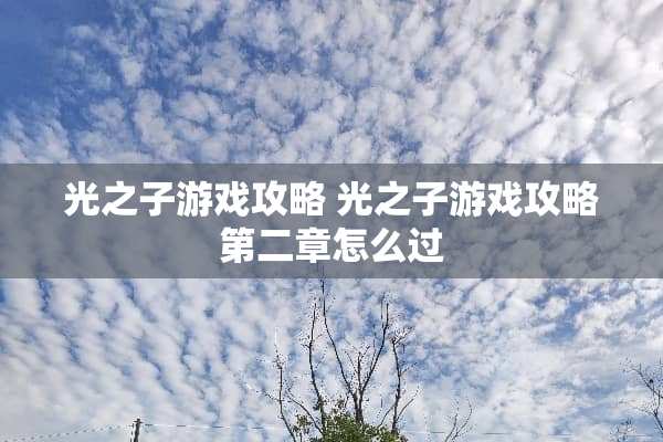 光之子游戏攻略 光之子游戏攻略第二章怎么过