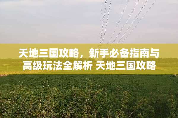 天地三国攻略，新手必备指南与高级玩法全解析 天地三国攻略