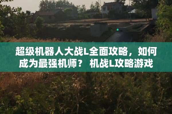 超级机器**战L全面攻略，如何成为最强机师？ 机战L攻略游戏