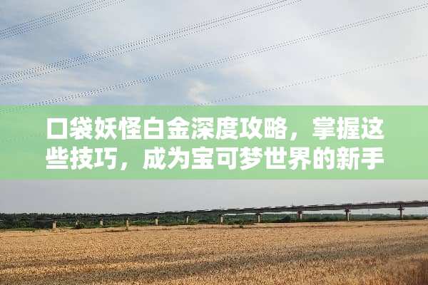 口袋妖怪白金深度攻略，掌握这些技巧，成为宝可梦世界的新手英雄 口袋妖怪白金攻略
