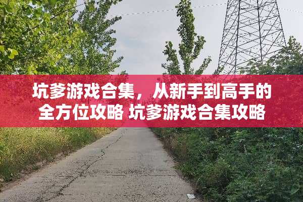 坑爹游戏合集，从新手到高手的全方位攻略 坑爹游戏合集攻略