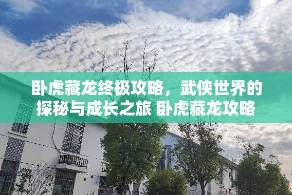卧虎藏龙终极攻略，武侠世界的探秘与成长之旅 卧虎藏龙攻略