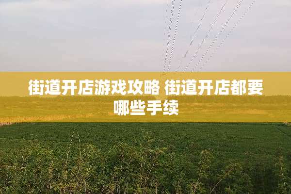 街道开店游戏攻略 街道开店都要哪些手续