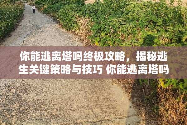 你能逃离塔吗终极攻略，揭秘逃生关键策略与技巧 你能逃离塔吗攻略