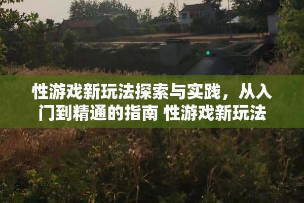 ***新玩法探索与实践，从入门到精通的指南 ***新玩法