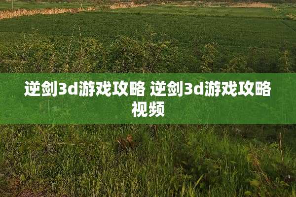 逆剑3d游戏攻略 逆剑3d游戏攻略视频