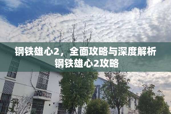 钢铁雄心2，全面攻略与深度解析 钢铁雄心2攻略