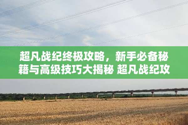 超凡战纪终极攻略，新手必备秘籍与高级技巧大揭秘 超凡战纪攻略
