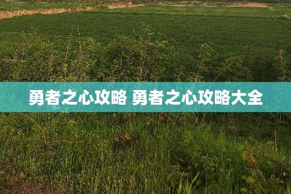 勇者之心攻略 勇者之心攻略大全