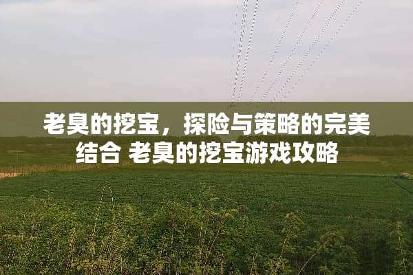 老臭的挖宝，探险与策略的完美结合 老臭的挖宝游戏攻略