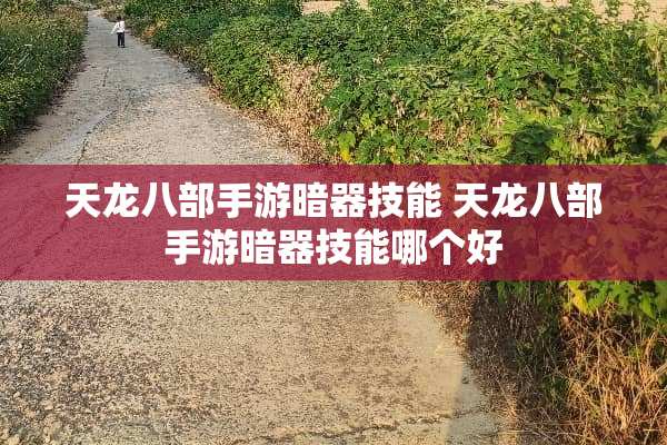 天龙八部手游暗器技能 天龙八部手游暗器技能哪个好