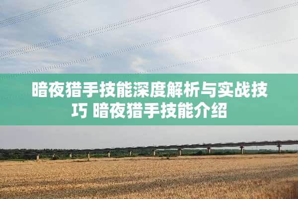 暗夜猎手技能深度解析与实战技巧 暗夜猎手技能介绍