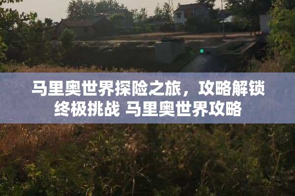 马里奥世界探险之旅，攻略解锁终极挑战 马里奥世界攻略
