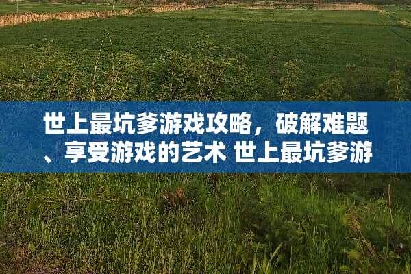 世上最坑爹游戏攻略，**难题、享受游戏的艺术 世上最坑爹游戏攻略