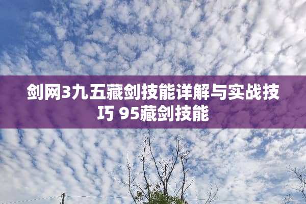 剑网3九五藏剑技能详解与实战技巧 95藏剑技能