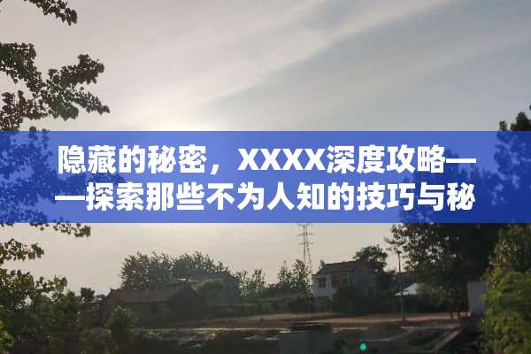 隐藏的秘密，XXXX深度攻略——探索那些不为人知的技巧与秘籍 隐藏我的游戏攻略2
