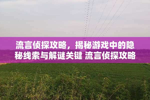 流言侦探攻略，揭秘游戏中的隐秘线索与解谜关键 流言侦探攻略