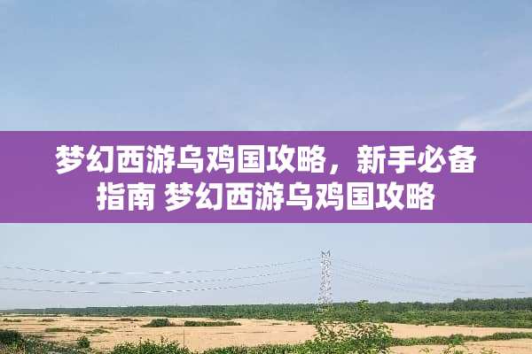 梦幻西游乌鸡国攻略，新手必备指南 梦幻西游乌鸡国攻略